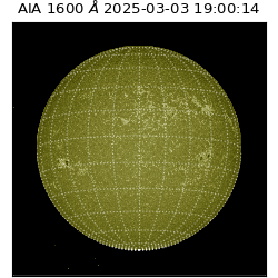 saia - 2025-03-03T19:00:14.126000