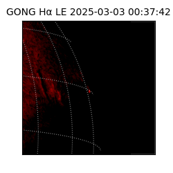 gong - 2025-03-03T00:37:42
