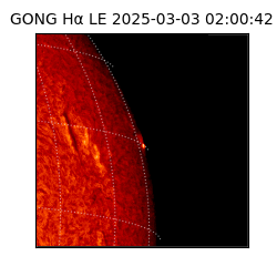 gong - 2025-03-03T02:00:42