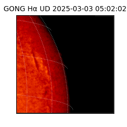 gong - 2025-03-03T05:02:02
