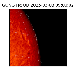 gong - 2025-03-03T09:00:02