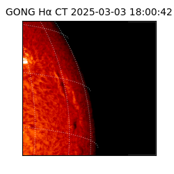 gong - 2025-03-03T18:00:42