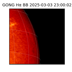 gong - 2025-03-03T23:00:02