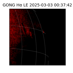 gong - 2025-03-03T00:37:42