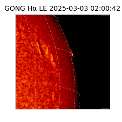 gong - 2025-03-03T02:00:42