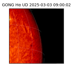 gong - 2025-03-03T09:00:02