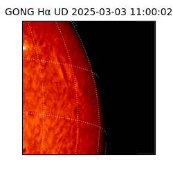 gong - 2025-03-03T11:00:02