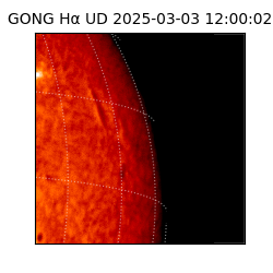 gong - 2025-03-03T12:00:02