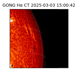 gong - 2025-03-03T15:00:42