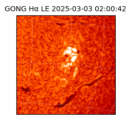 gong - 2025-03-03T02:00:42