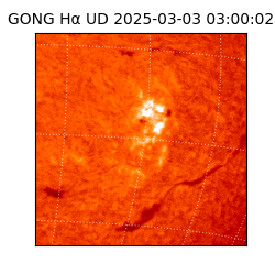 gong - 2025-03-03T03:00:02