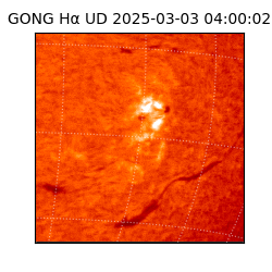 gong - 2025-03-03T04:00:02