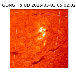 gong - 2025-03-03T05:02:02