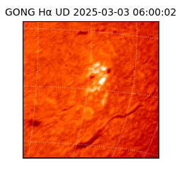 gong - 2025-03-03T06:00:02