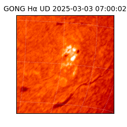 gong - 2025-03-03T07:00:02