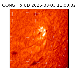 gong - 2025-03-03T11:00:02