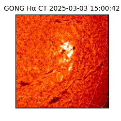 gong - 2025-03-03T15:00:42