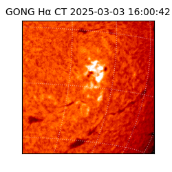 gong - 2025-03-03T16:00:42