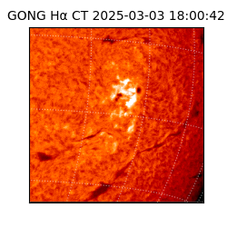 gong - 2025-03-03T18:00:42