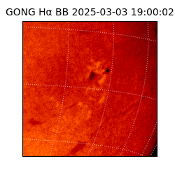 gong - 2025-03-03T19:00:02