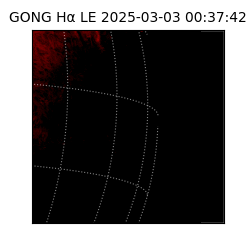 gong - 2025-03-03T00:37:42
