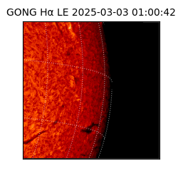 gong - 2025-03-03T01:00:42