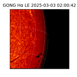gong - 2025-03-03T02:00:42