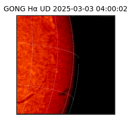 gong - 2025-03-03T04:00:02