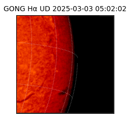 gong - 2025-03-03T05:02:02