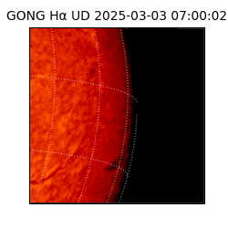 gong - 2025-03-03T07:00:02