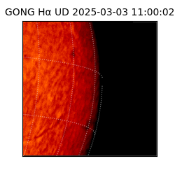 gong - 2025-03-03T11:00:02