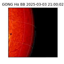 gong - 2025-03-03T21:00:02
