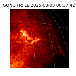 gong - 2025-03-03T00:37:42