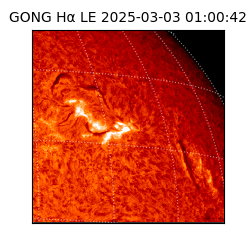 gong - 2025-03-03T01:00:42