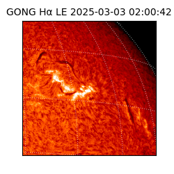 gong - 2025-03-03T02:00:42