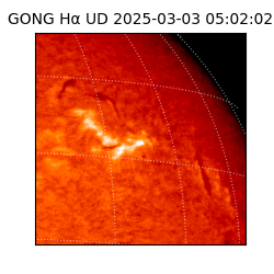 gong - 2025-03-03T05:02:02