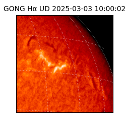 gong - 2025-03-03T10:00:02