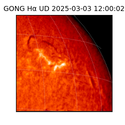 gong - 2025-03-03T12:00:02