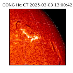 gong - 2025-03-03T13:00:42