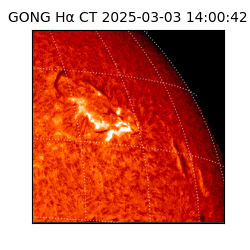 gong - 2025-03-03T14:00:42