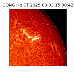 gong - 2025-03-03T15:00:42