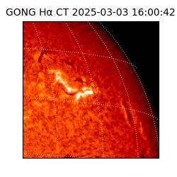 gong - 2025-03-03T16:00:42