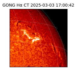 gong - 2025-03-03T17:00:42