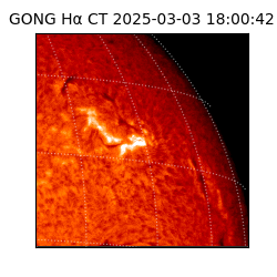 gong - 2025-03-03T18:00:42
