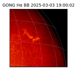 gong - 2025-03-03T19:00:02