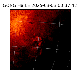gong - 2025-03-03T00:37:42
