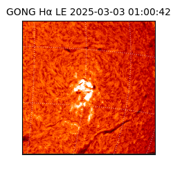 gong - 2025-03-03T01:00:42