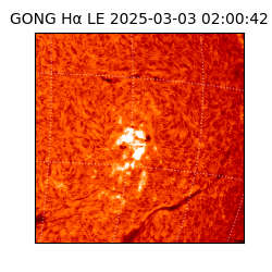 gong - 2025-03-03T02:00:42