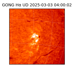 gong - 2025-03-03T04:00:02