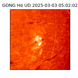 gong - 2025-03-03T05:02:02